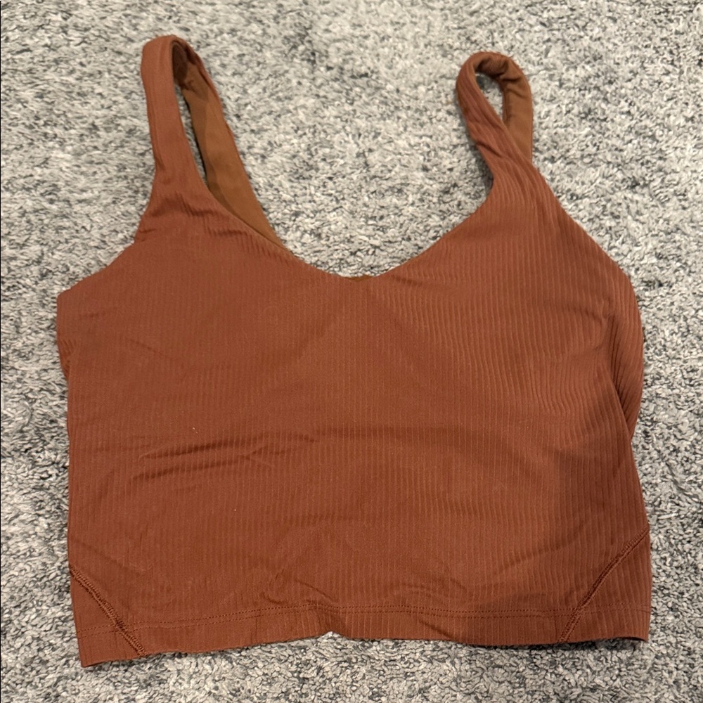 Women's Brown Ribbed Crop Top